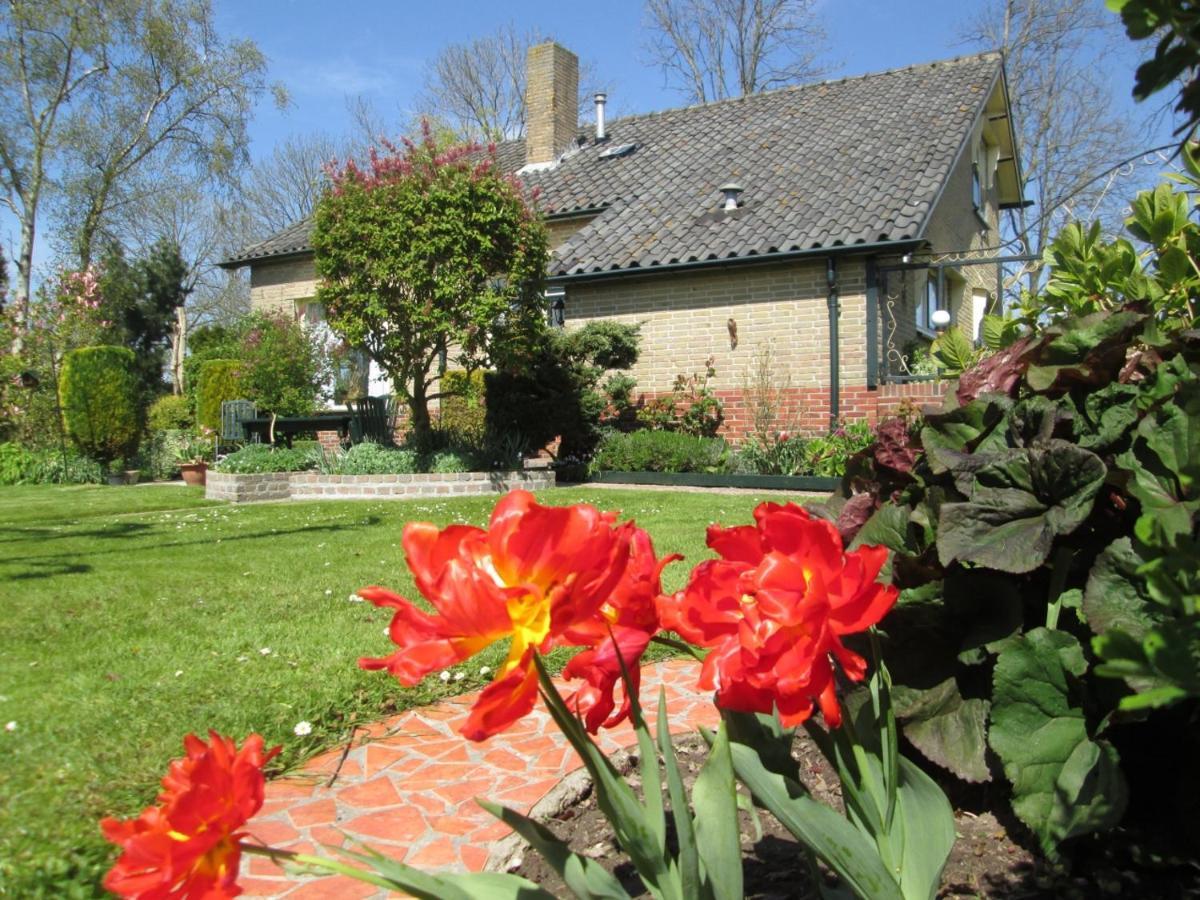 B&B Elbahof, Goed En Goedkoop! Hem Bagian luar foto