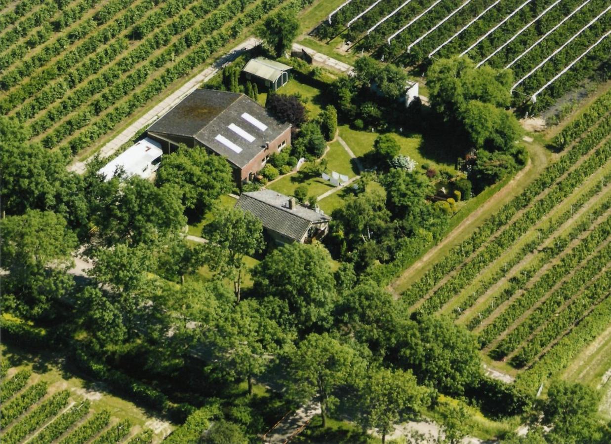 B&B Elbahof, Goed En Goedkoop! Hem Bagian luar foto