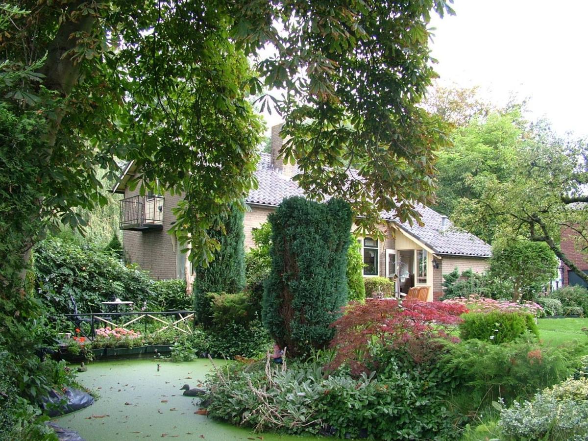 B&B Elbahof, Goed En Goedkoop! Hem Bagian luar foto