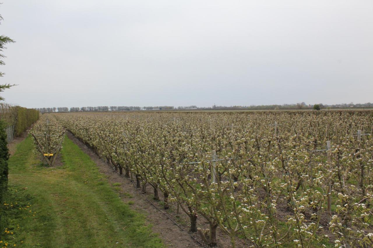 B&B Elbahof, Goed En Goedkoop! Hem Bagian luar foto