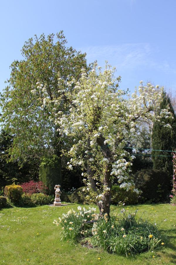 B&B Elbahof, Goed En Goedkoop! Hem Bagian luar foto